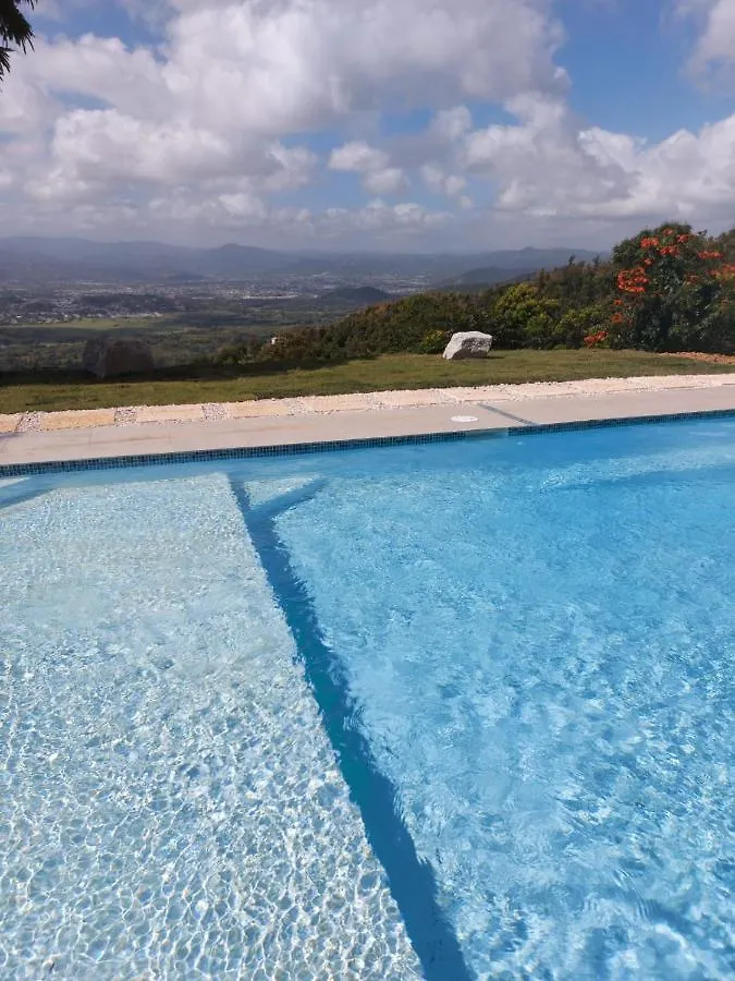 Alpesi faház El Rancho De Tito Puerto Rico